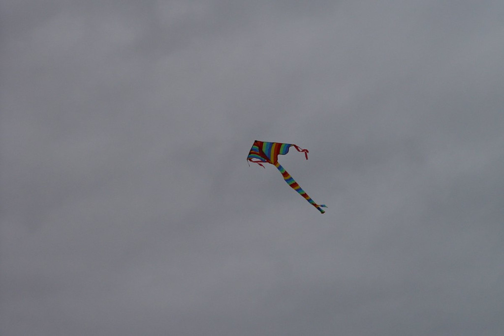 Mistrzostwa woj. Opolskiego - Święto Latawca