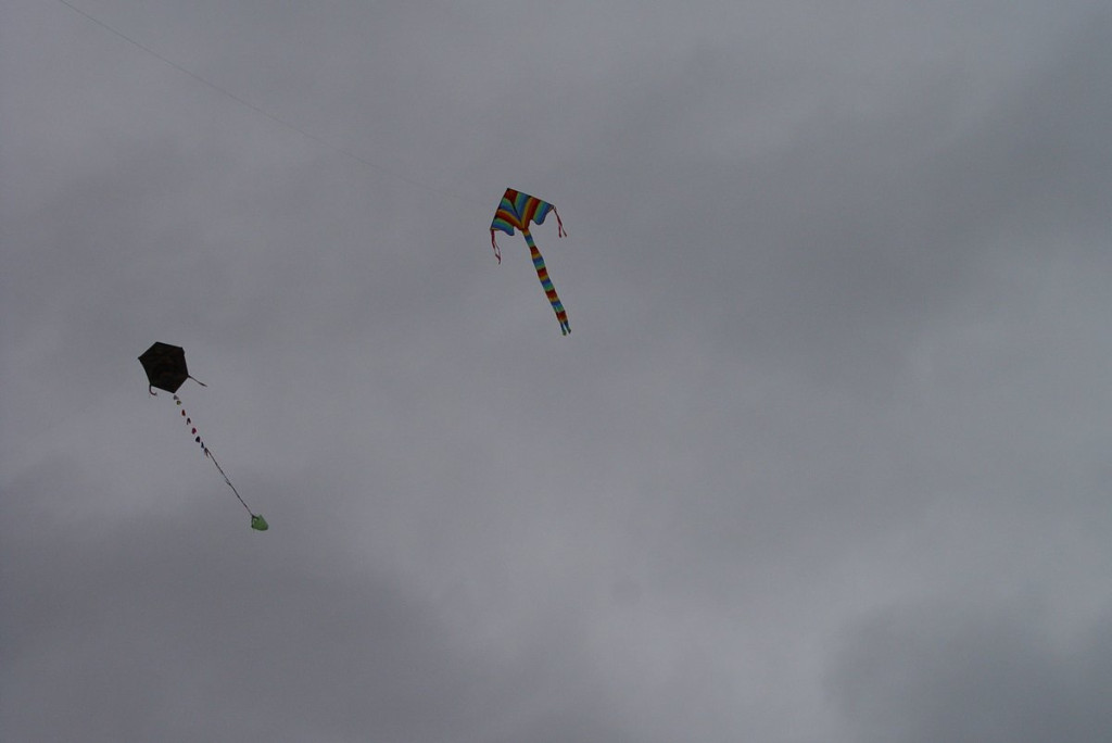 Mistrzostwa woj. Opolskiego - Święto Latawca