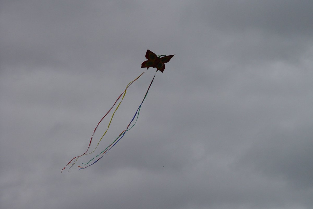 Mistrzostwa woj. Opolskiego - Święto Latawca