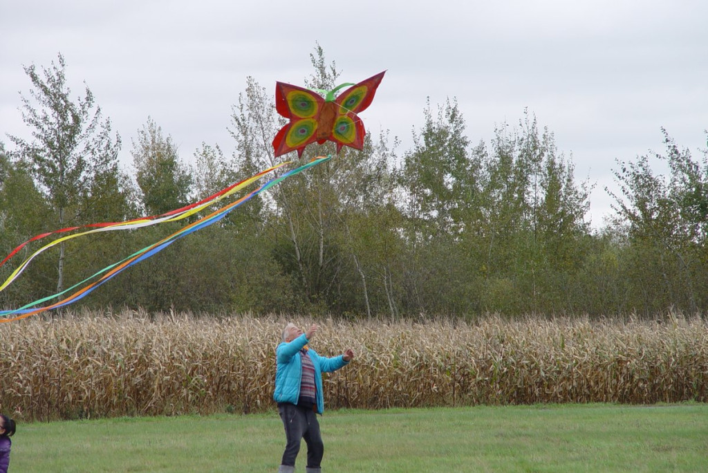 Mistrzostwa woj. Opolskiego - Święto Latawca
