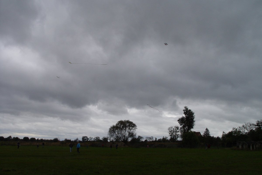 Mistrzostwa woj. Opolskiego - Święto Latawca