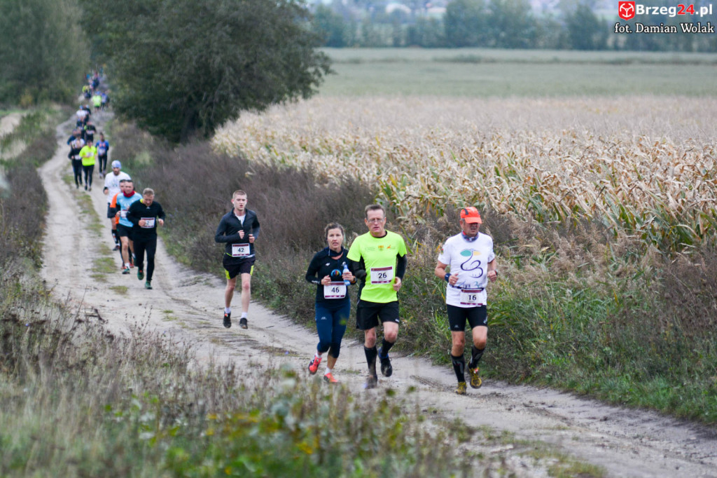 I Cross Run Sulisław. 70-ciu biegaczy na starcie