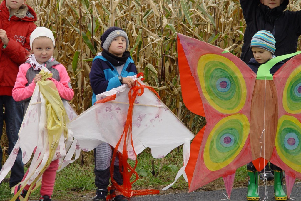 Mistrzostwa woj. Opolskiego - Święto Latawca
