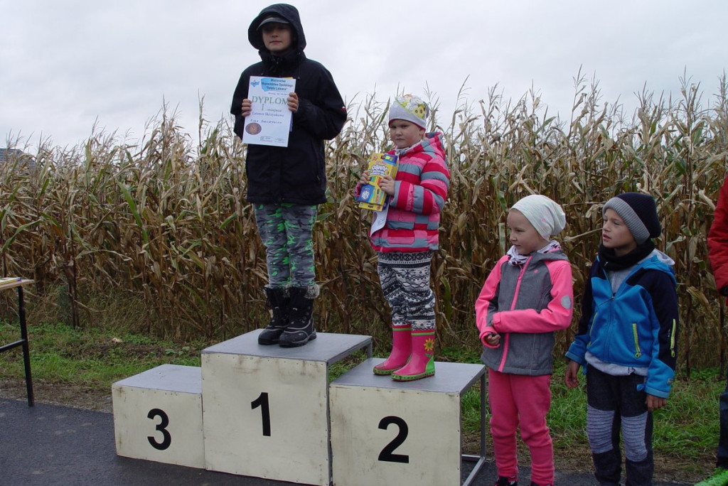 Mistrzostwa woj. Opolskiego - Święto Latawca