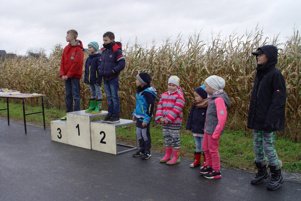 Mistrzostwa woj. Opolskiego - Święto Latawca