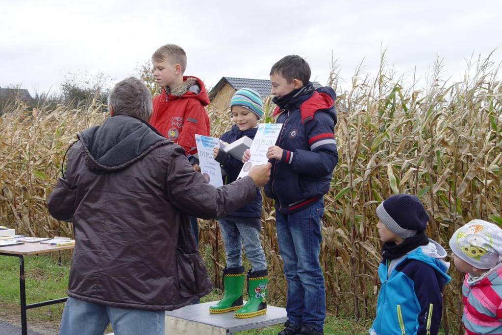 Mistrzostwa woj. Opolskiego - Święto Latawca