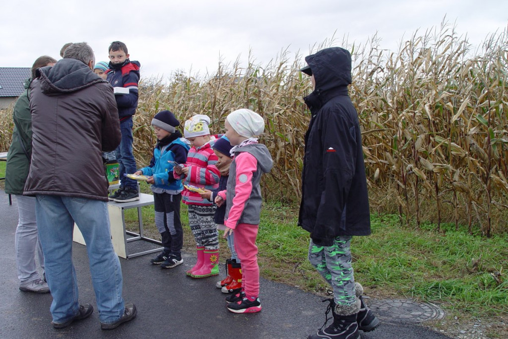 Mistrzostwa woj. Opolskiego - Święto Latawca