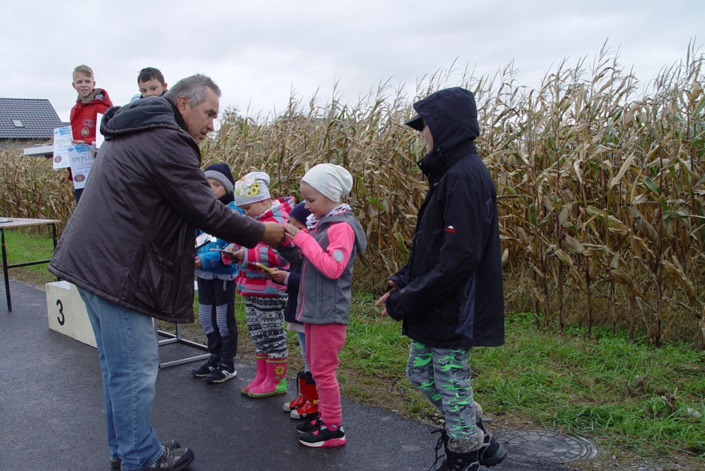 Mistrzostwa woj. Opolskiego - Święto Latawca