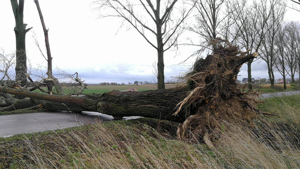 Ponad 50 interwencji strażaków. Trwa szacowanie strat po przejściu orkanu Grzegorz