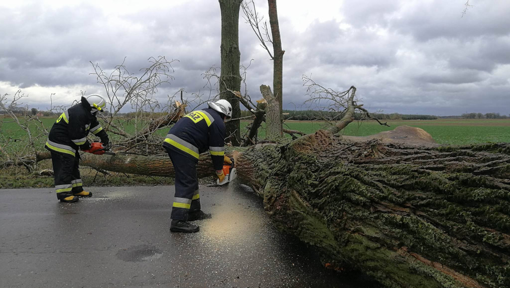 Ponad 50 interwencji strażaków. Trwa szacowanie strat po przejściu orkanu Grzegorz