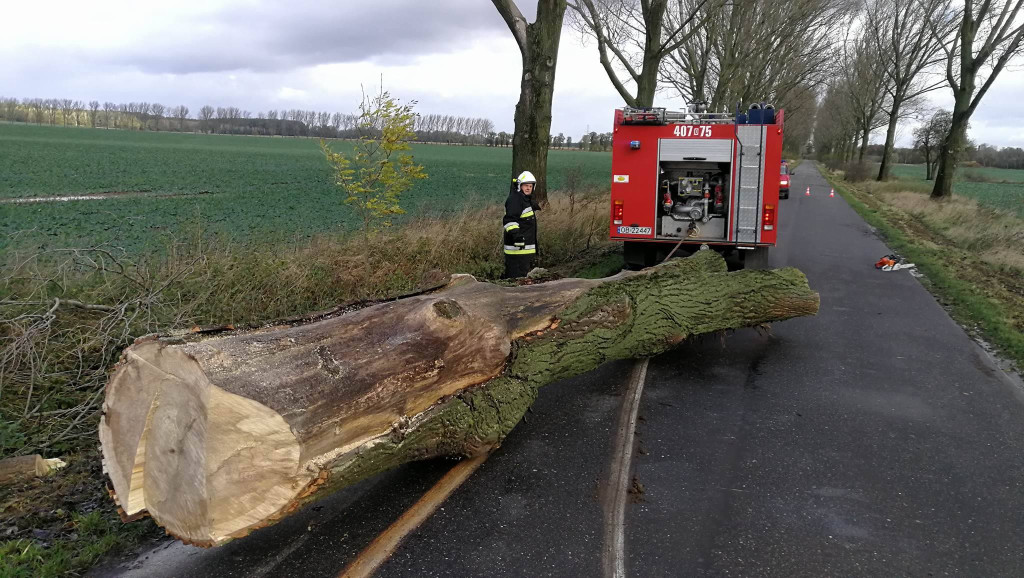 Ponad 50 interwencji strażaków. Trwa szacowanie strat po przejściu orkanu Grzegorz