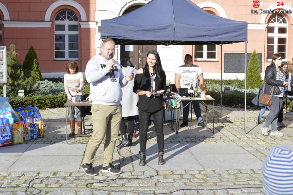 VI piknik rodzinny pn. 