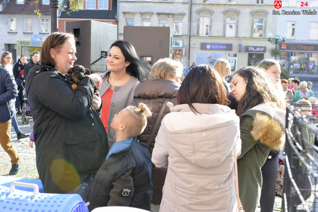 VI piknik rodzinny pn. 