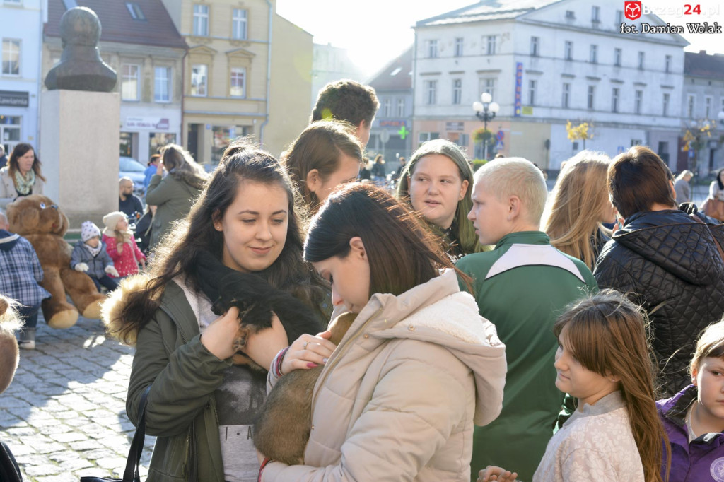 VI piknik rodzinny pn. 