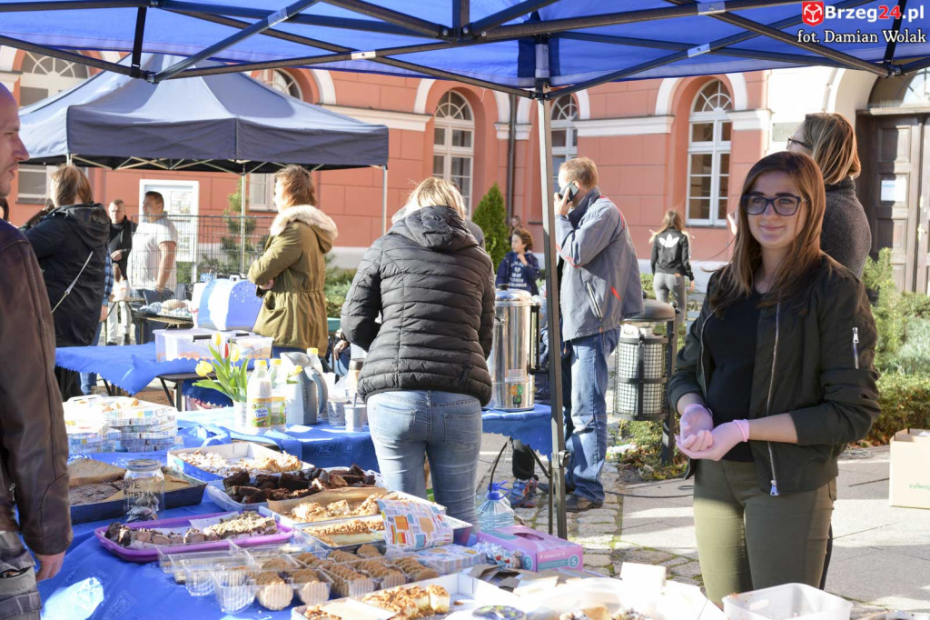 VI piknik rodzinny pn. 