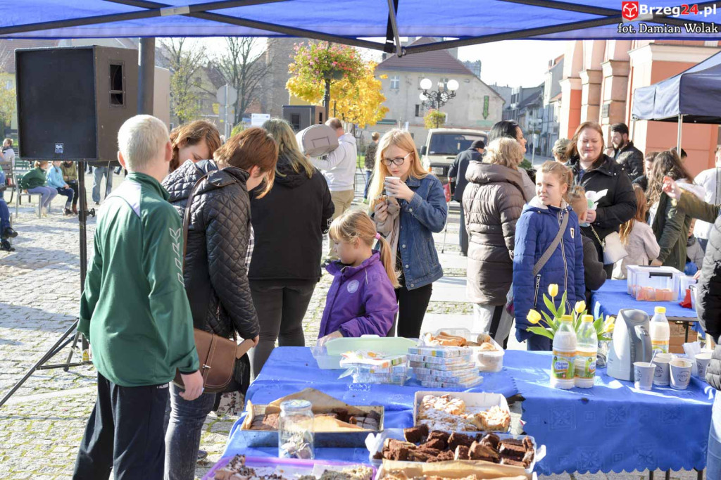 VI piknik rodzinny pn. 