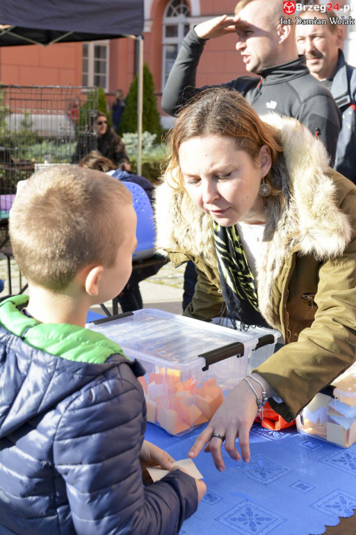 VI piknik rodzinny pn. 