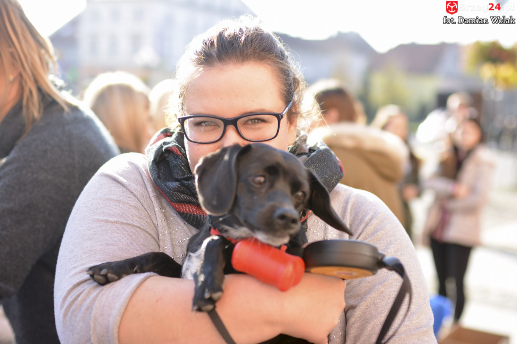 VI piknik rodzinny pn. 