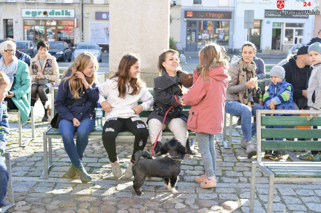VI piknik rodzinny pn. 