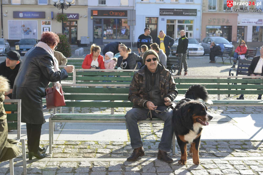 VI piknik rodzinny pn. 