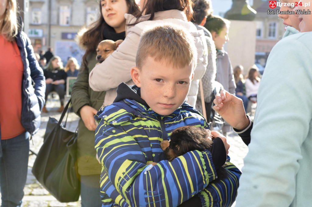 VI piknik rodzinny pn. 