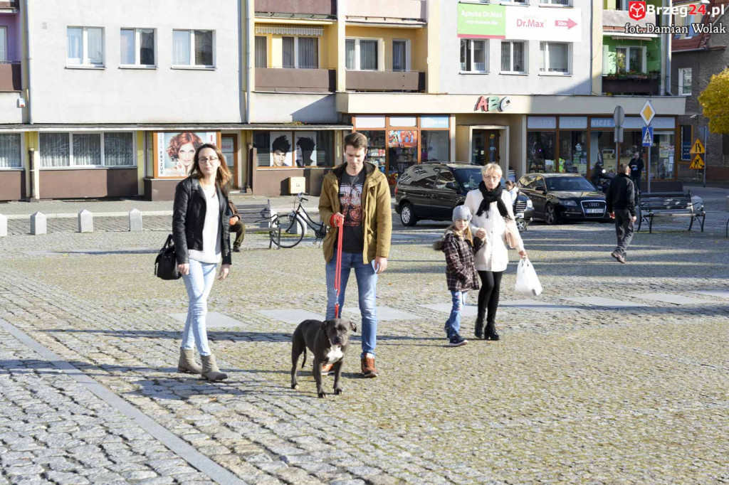 VI piknik rodzinny pn. 