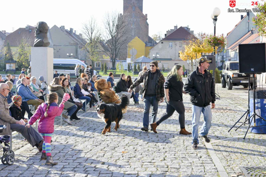 VI piknik rodzinny pn. 