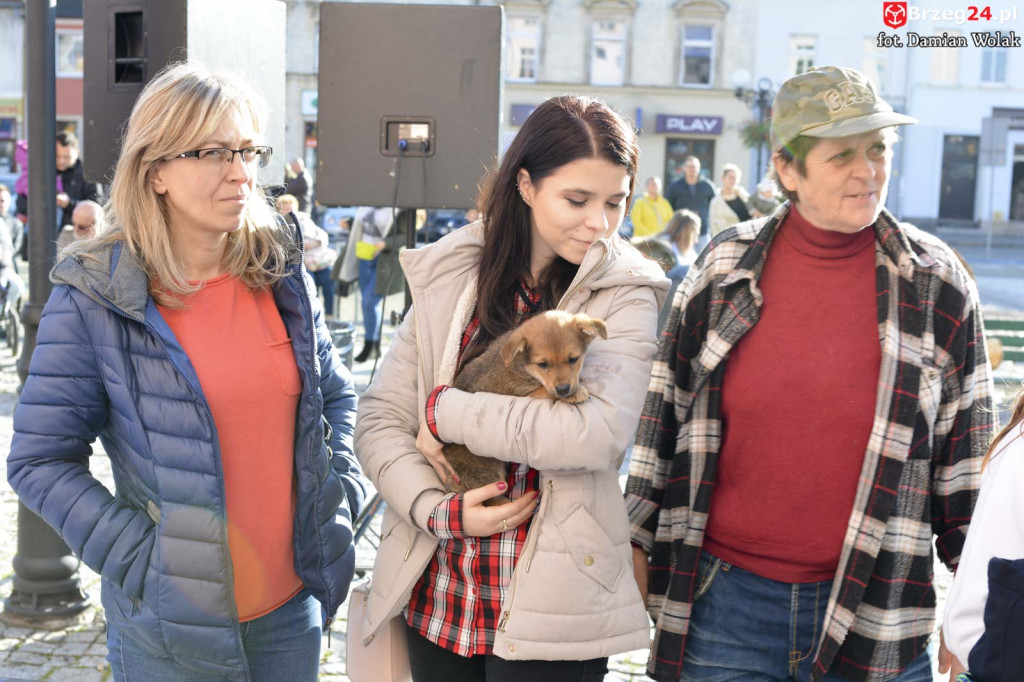 VI piknik rodzinny pn. 