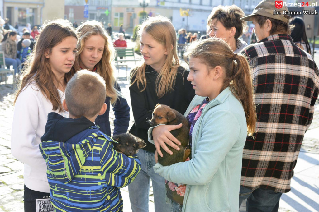 VI piknik rodzinny pn. 