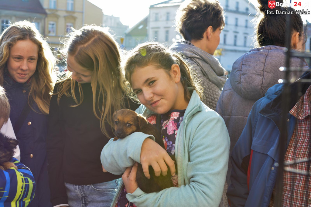 VI piknik rodzinny pn. 