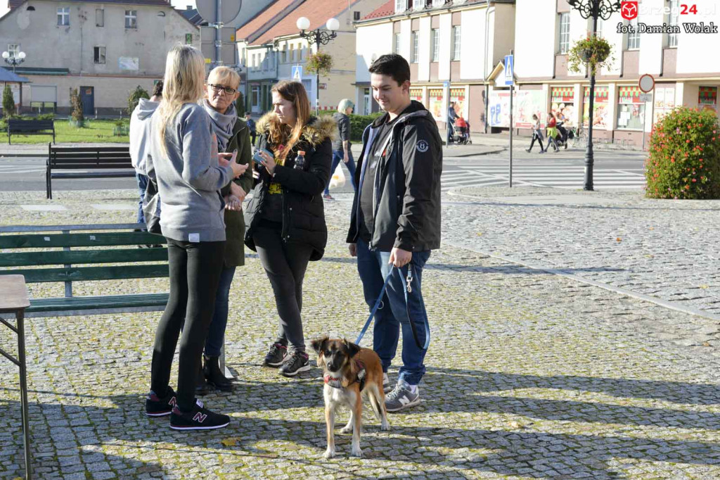 VI piknik rodzinny pn. 