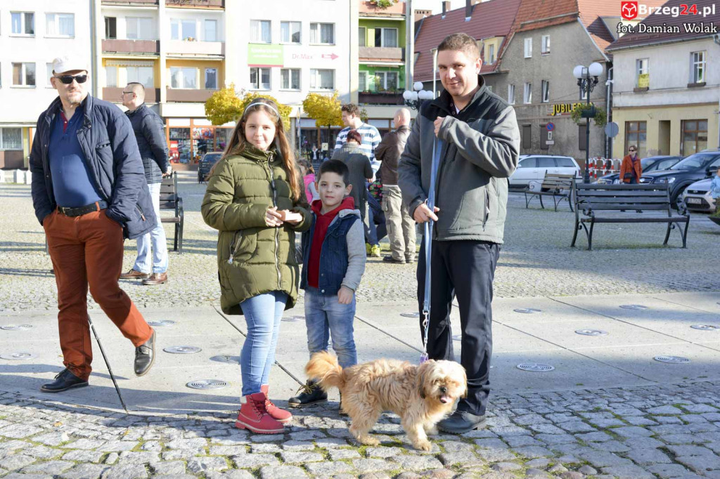VI piknik rodzinny pn. 