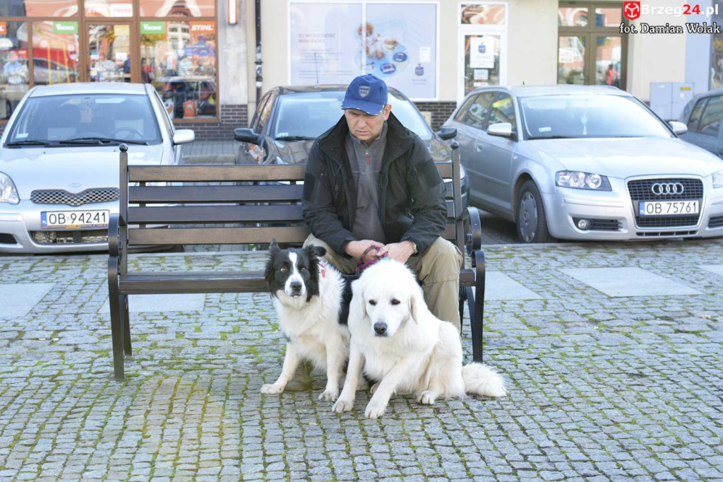 VI piknik rodzinny pn. 