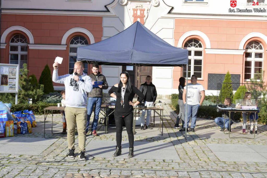 VI piknik rodzinny pn. 