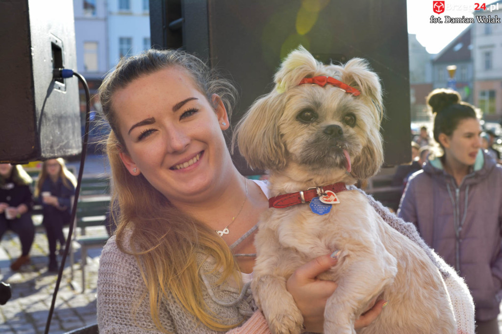 VI piknik rodzinny pn. 