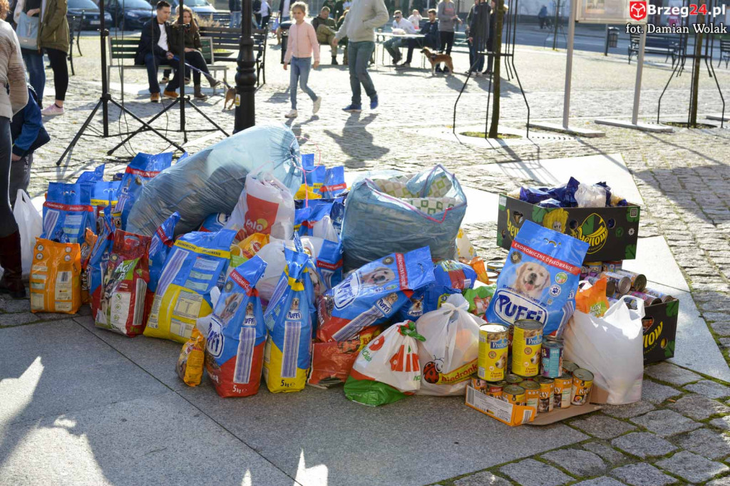 VI piknik rodzinny pn. 