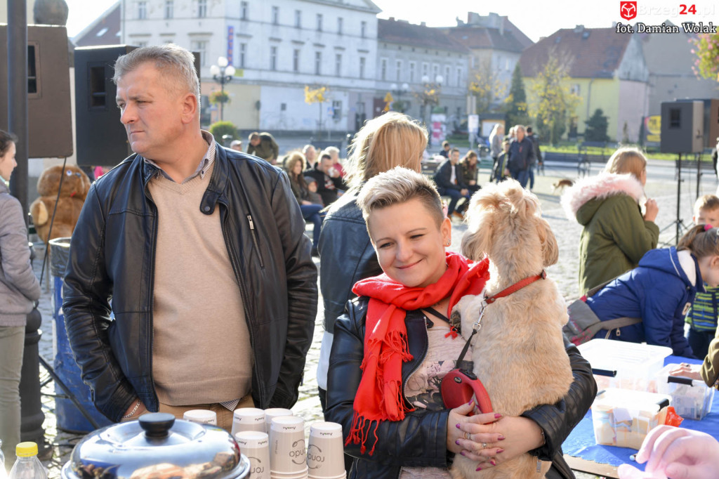 VI piknik rodzinny pn. 