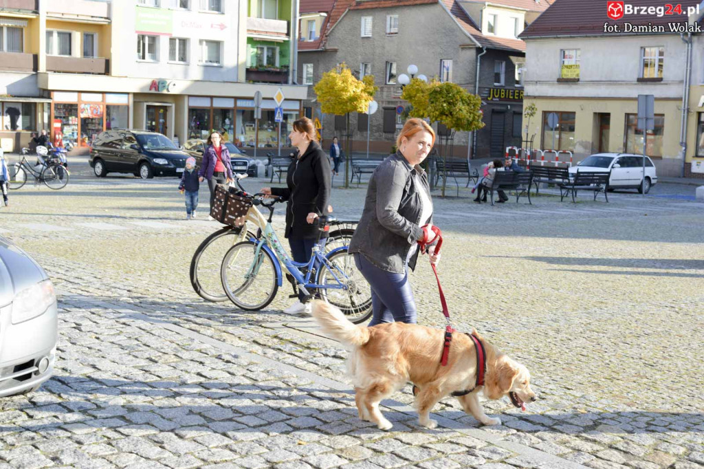 VI piknik rodzinny pn. 