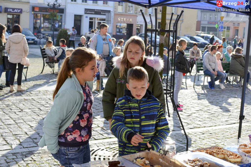 VI piknik rodzinny pn. 