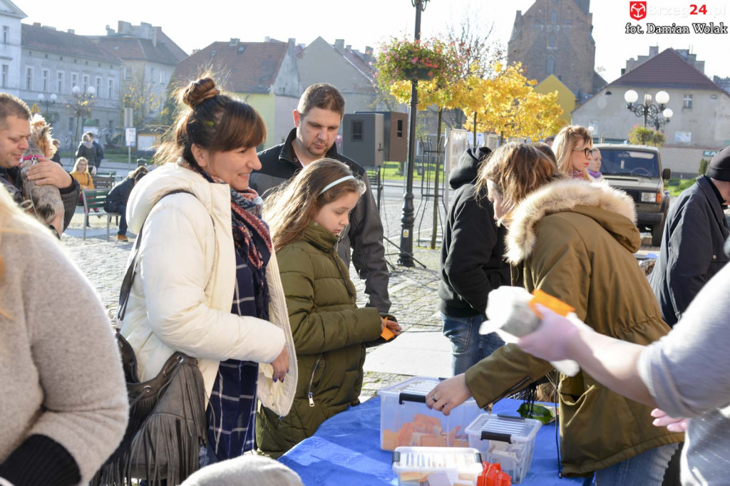 VI piknik rodzinny pn. 