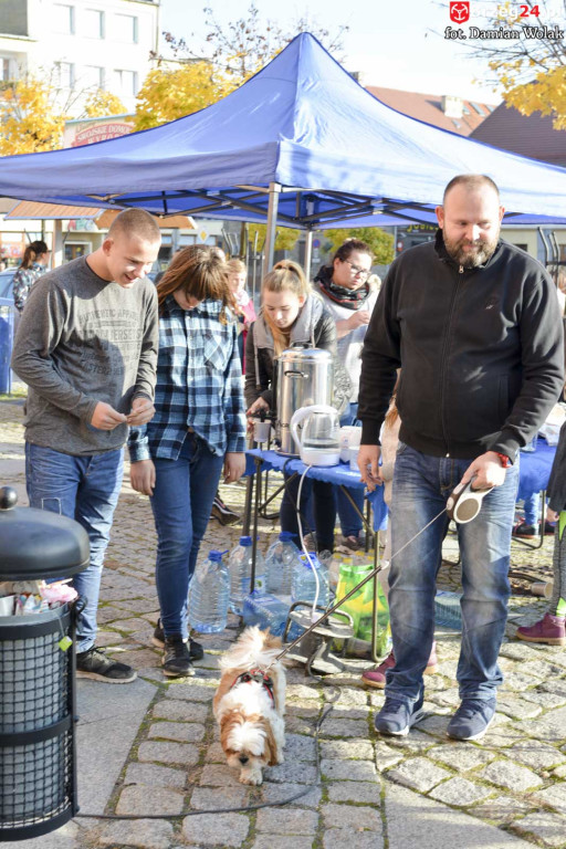VI piknik rodzinny pn. 