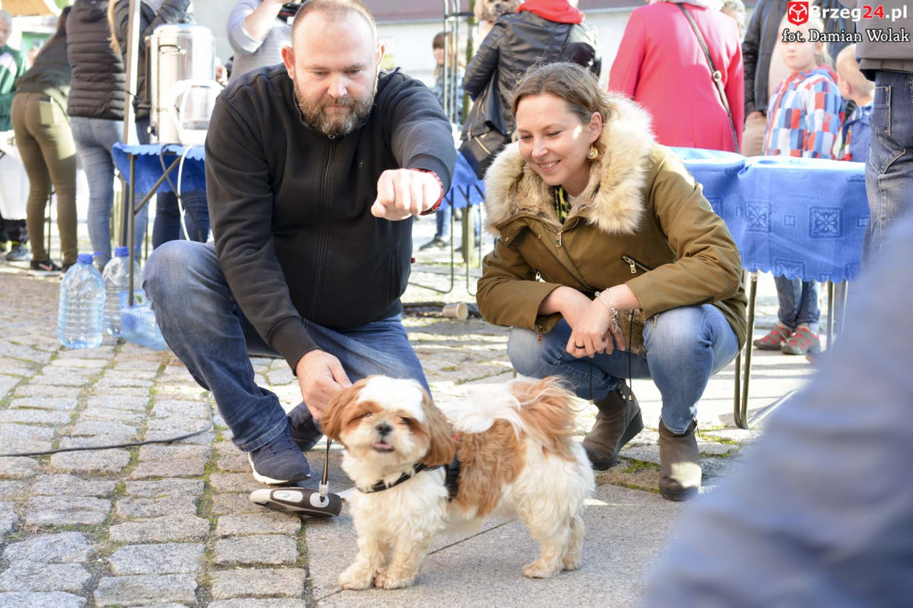 VI piknik rodzinny pn. 