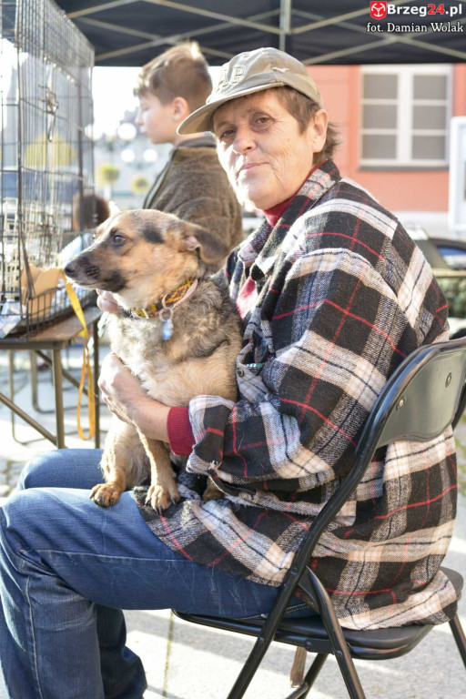 VI piknik rodzinny pn. 