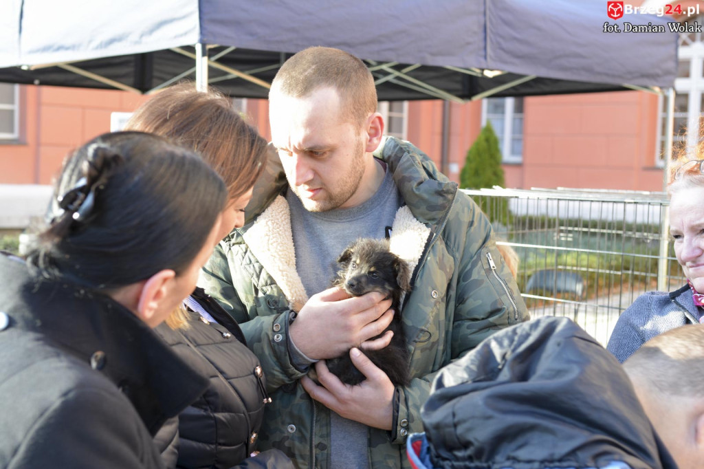 VI piknik rodzinny pn. 