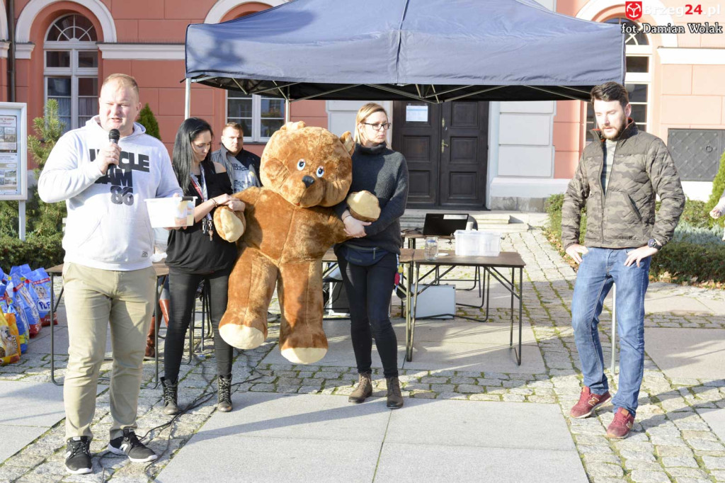 VI piknik rodzinny pn. 