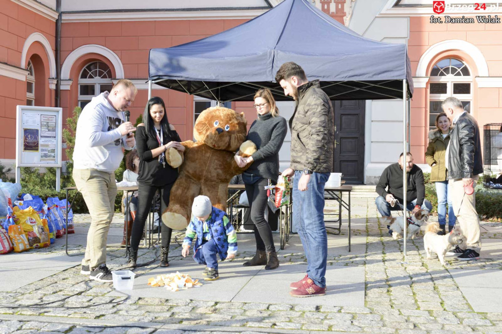VI piknik rodzinny pn. 