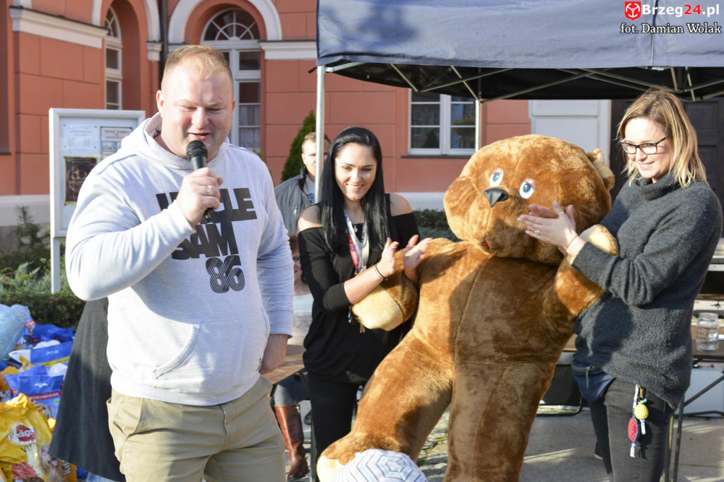 VI piknik rodzinny pn. 