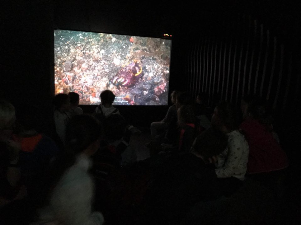 Podróże świetlicy terapeutycznej 