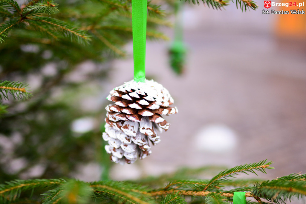 Przedszkolaki i uczniowie udekorowali świąteczne drzewka
