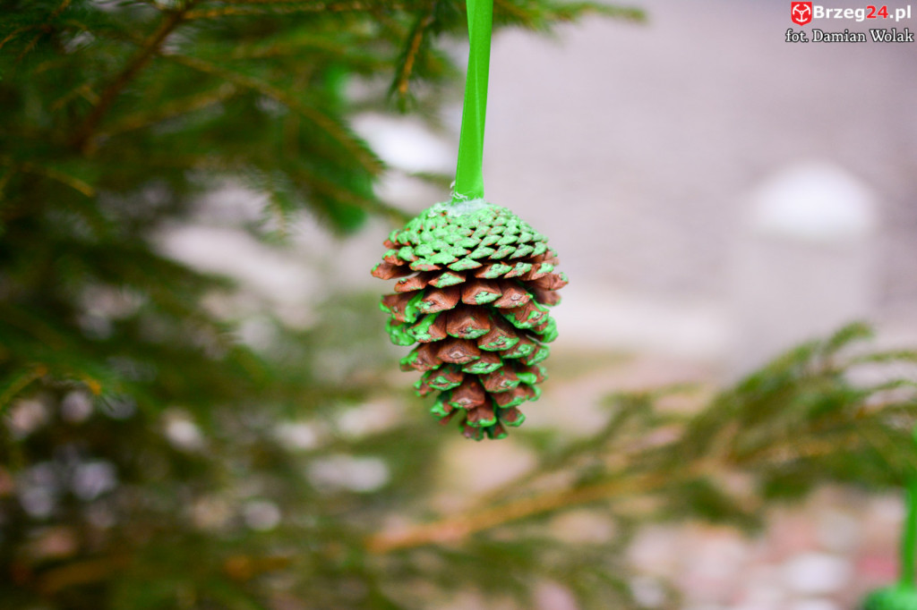 Przedszkolaki i uczniowie udekorowali świąteczne drzewka